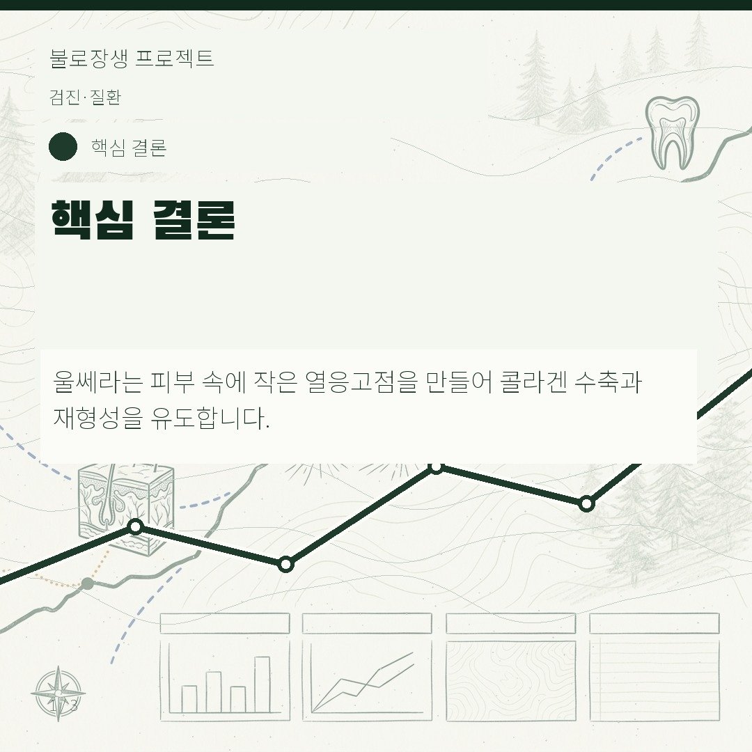 핵심 결론