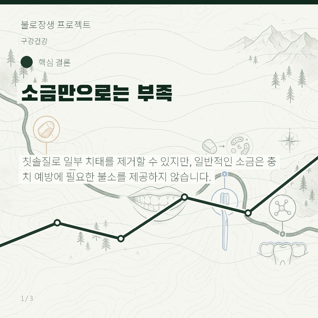 소금만으로는 부족