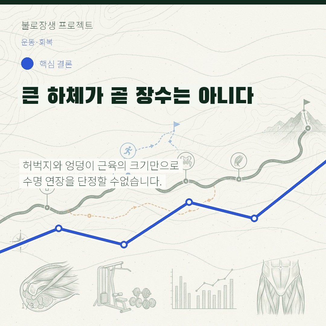 큰 하체가 곧 장수는 아니다