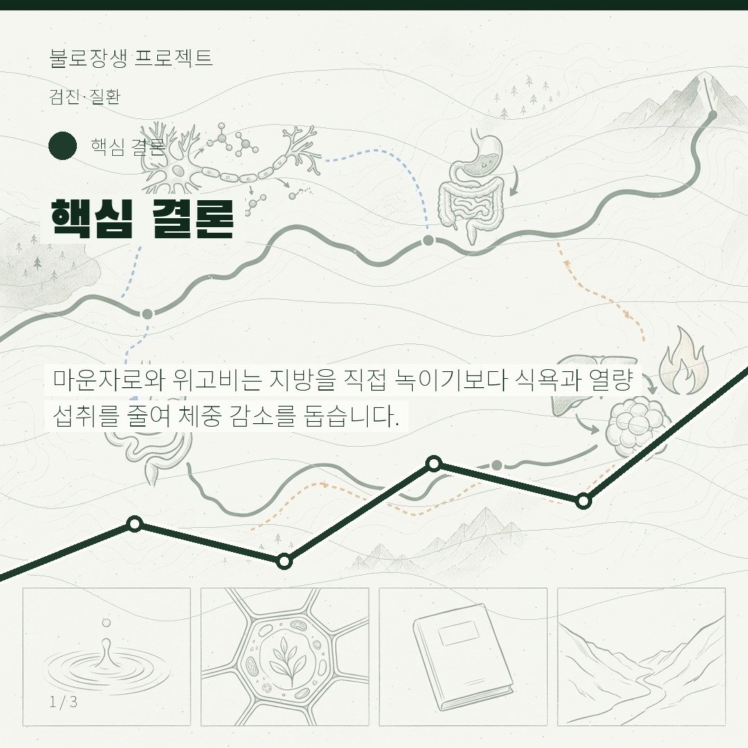 핵심 결론