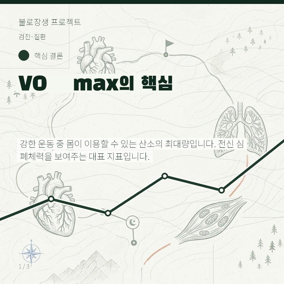 VO₂ max의 핵심