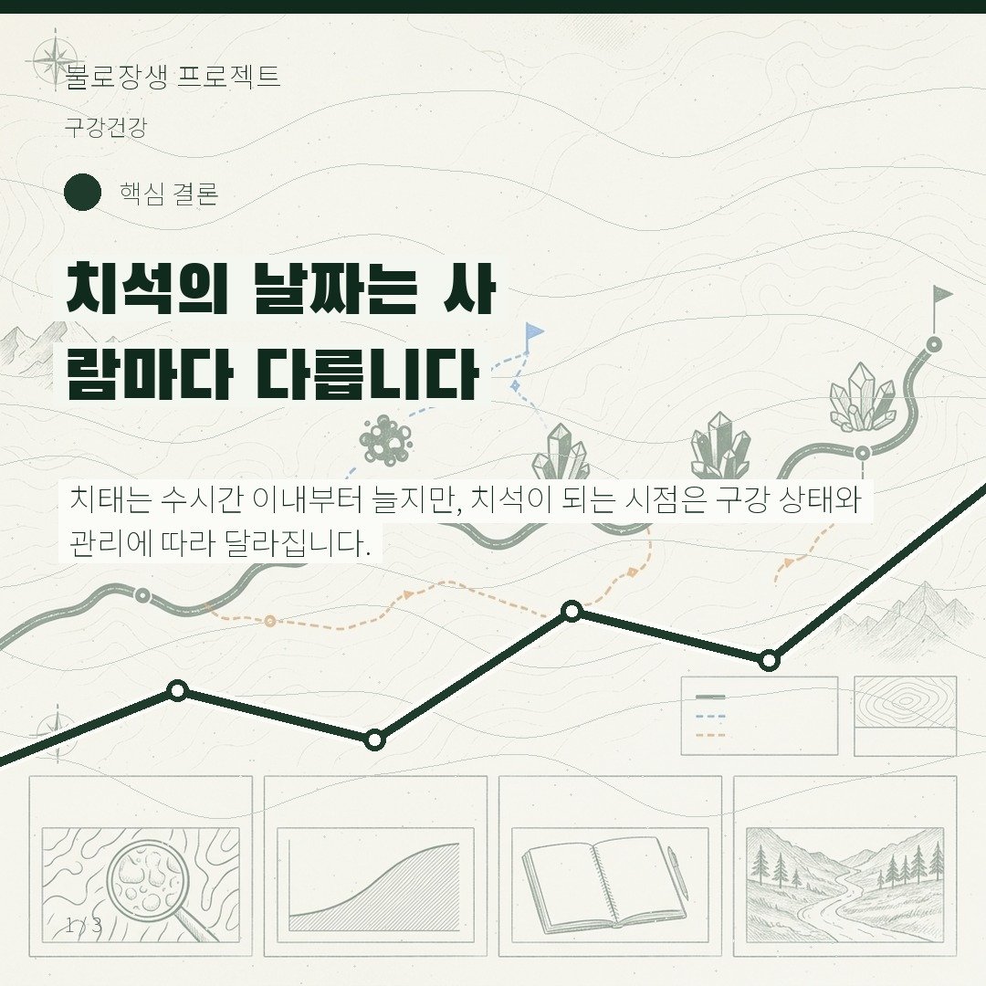 치석의 날짜는 사람마다 다릅니다
