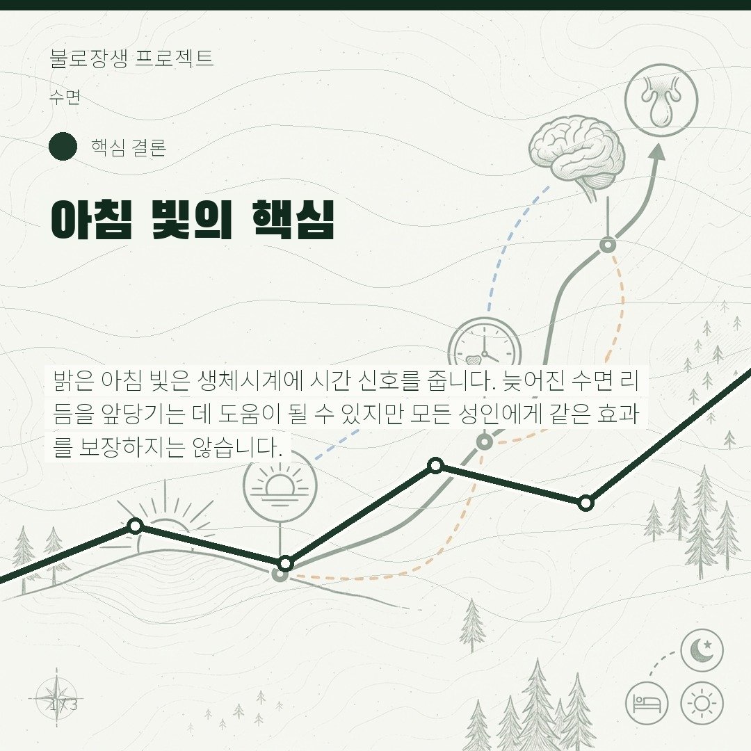 아침 빛의 핵심