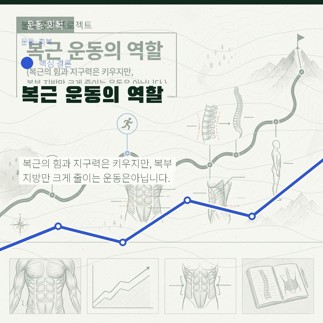 복근 운동의 역할