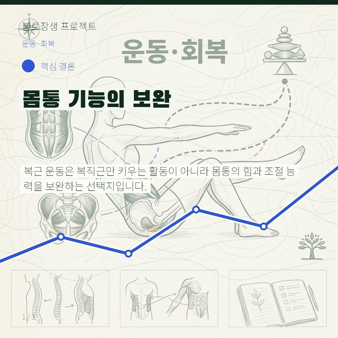 몸통 기능의 보완