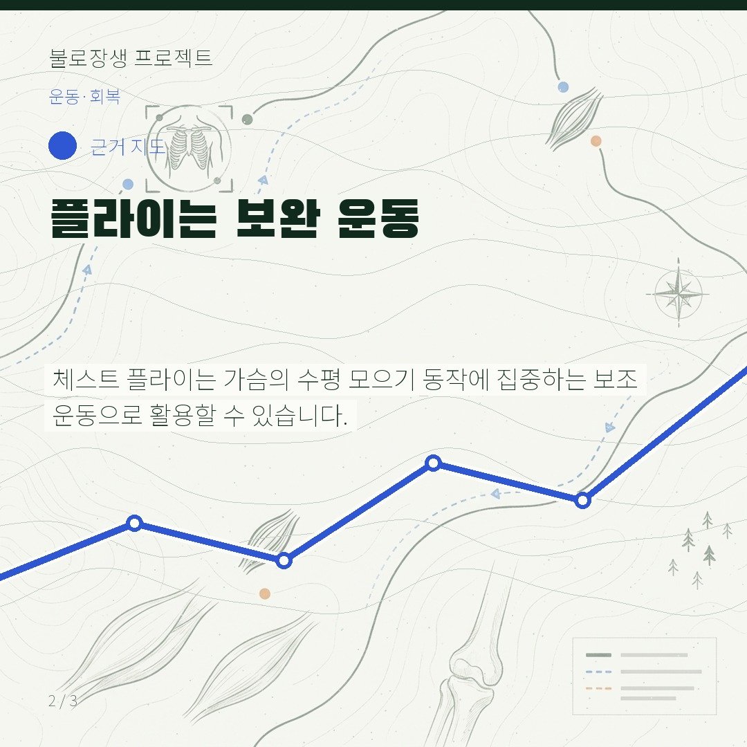 플라이는 보완 운동