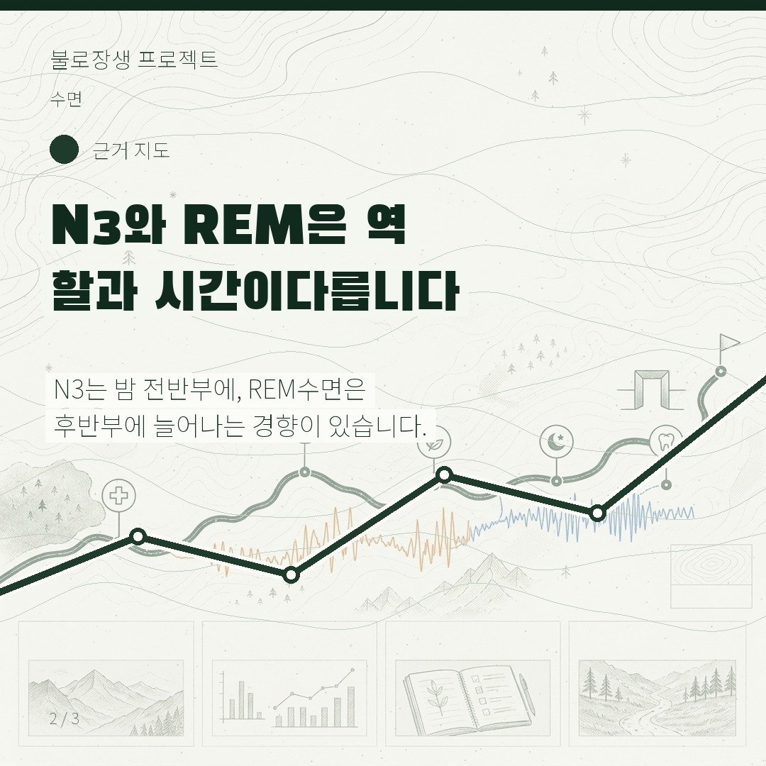 N3와 REM은 역할과 시간이 다릅니다