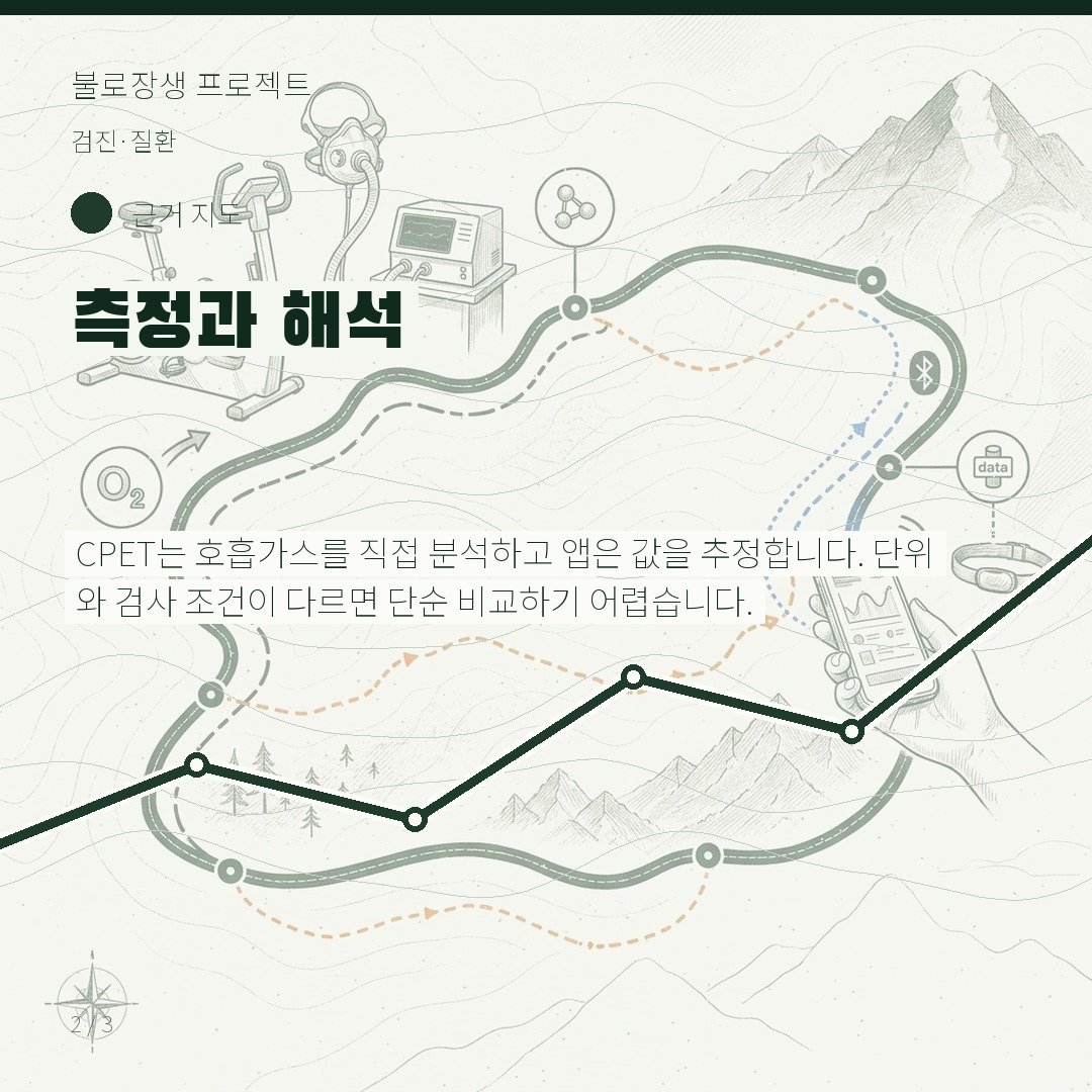 측정과 해석