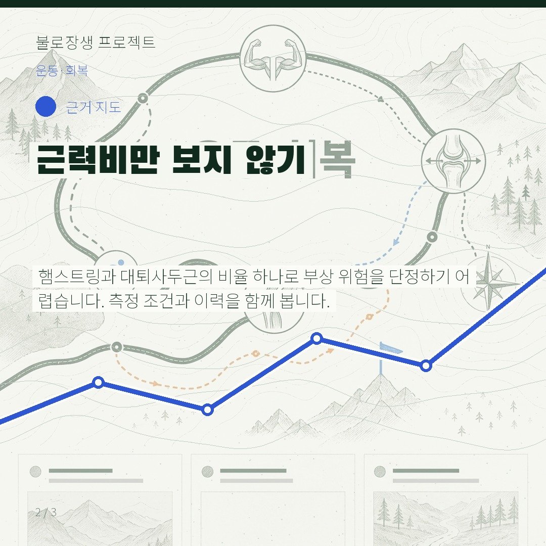 근력비만 보지 않기