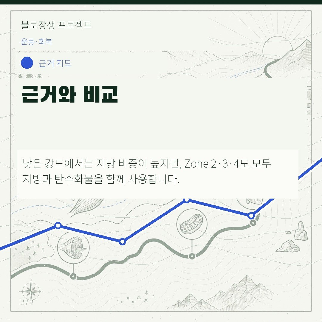 근거와 비교