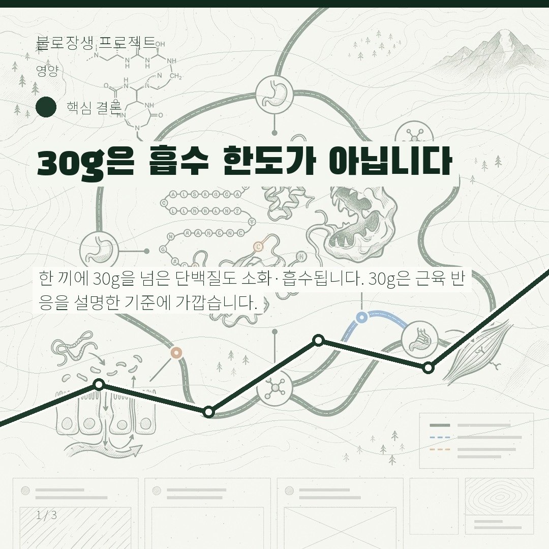 30g은 흡수 한도가 아닙니다