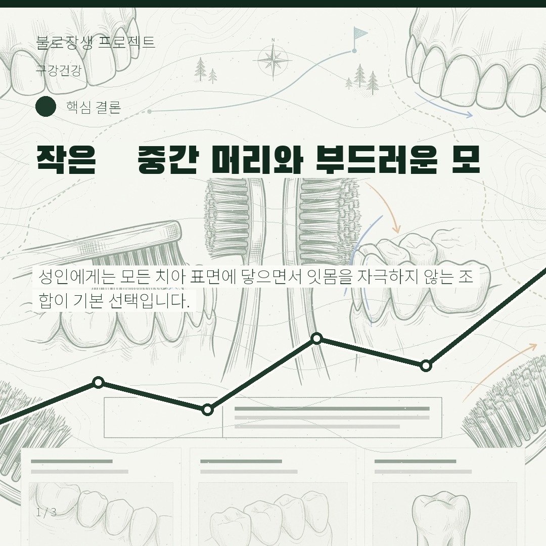 작은·중간 머리와 부드러운 모