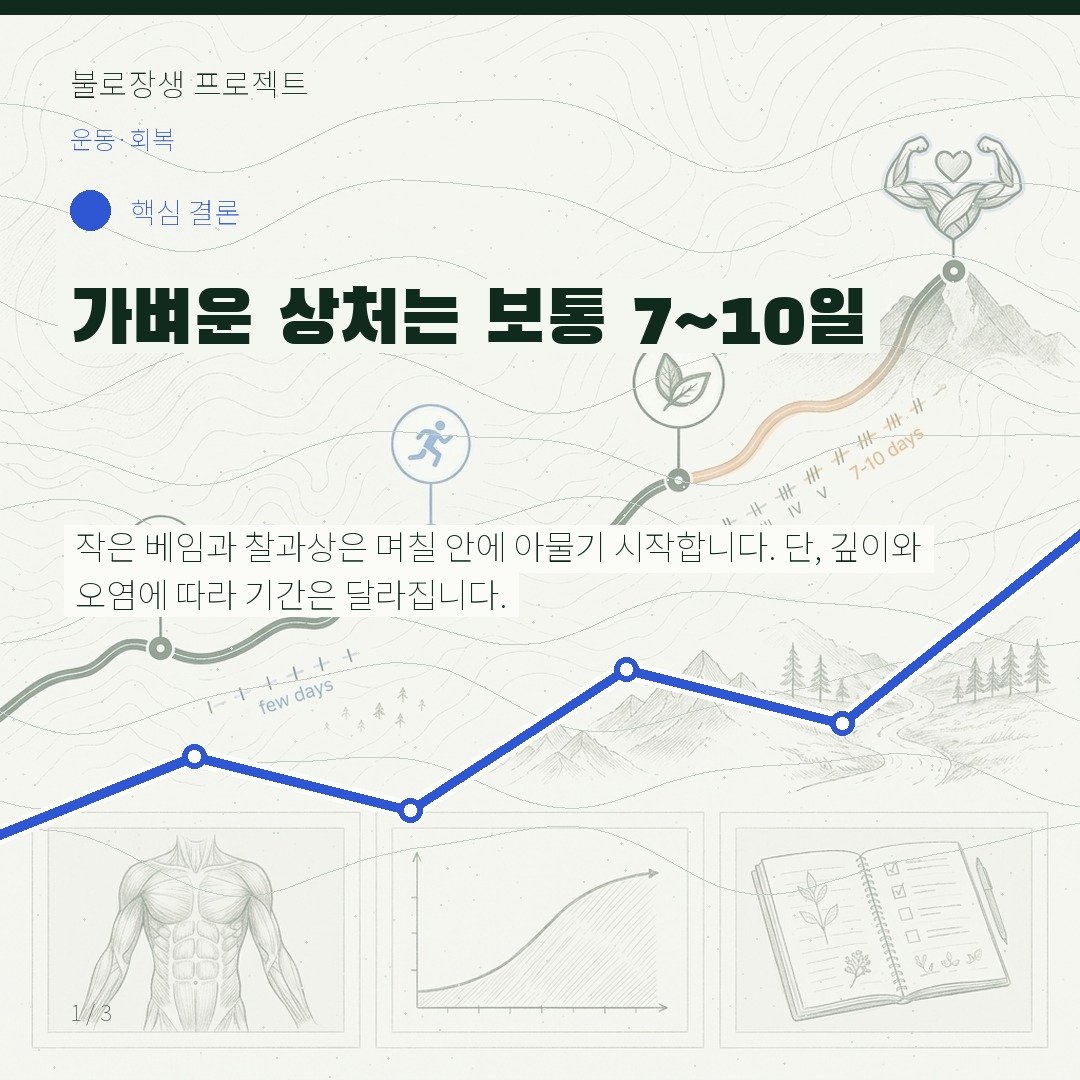 가벼운 상처는 보통 7~10일