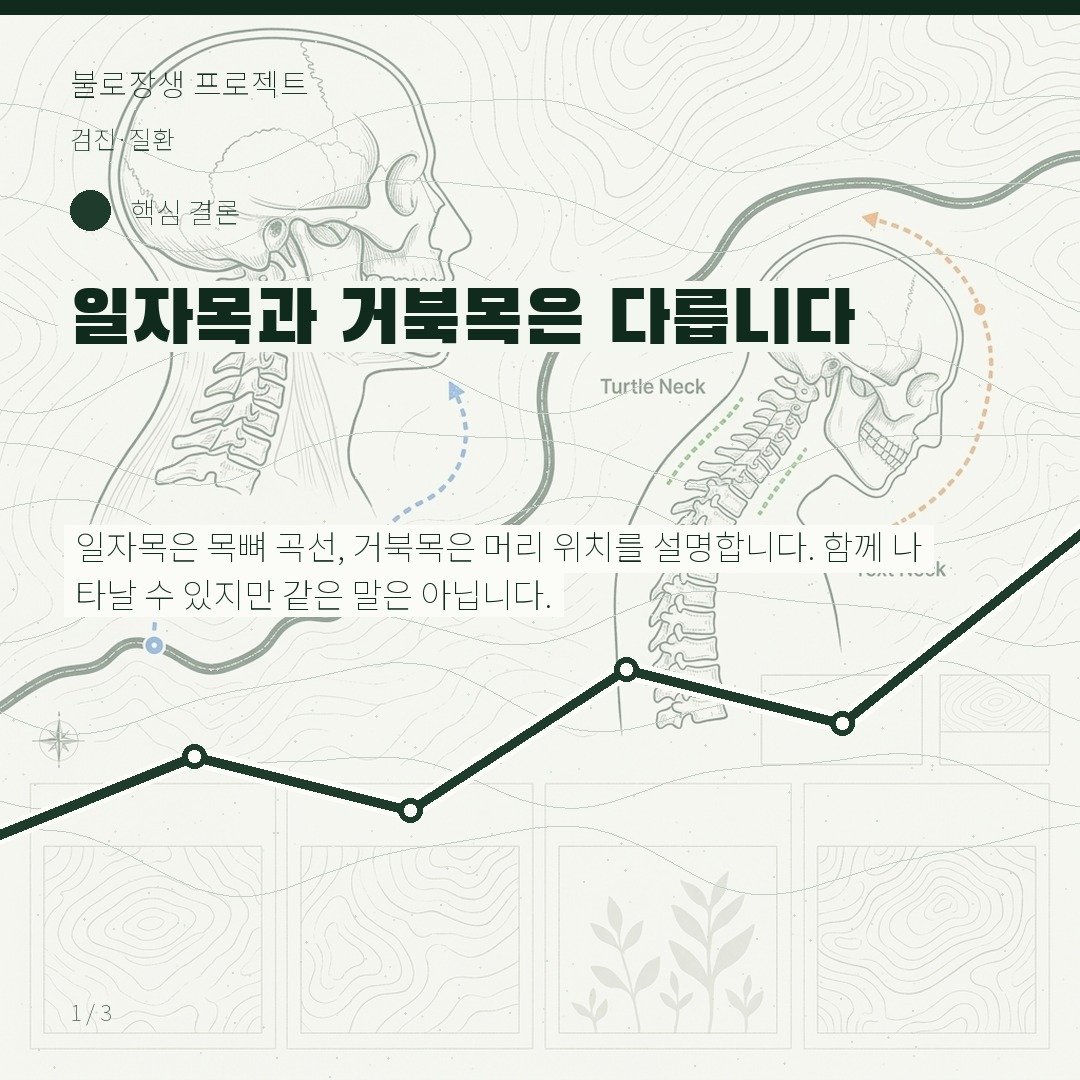 일자목과 거북목은 다릅니다