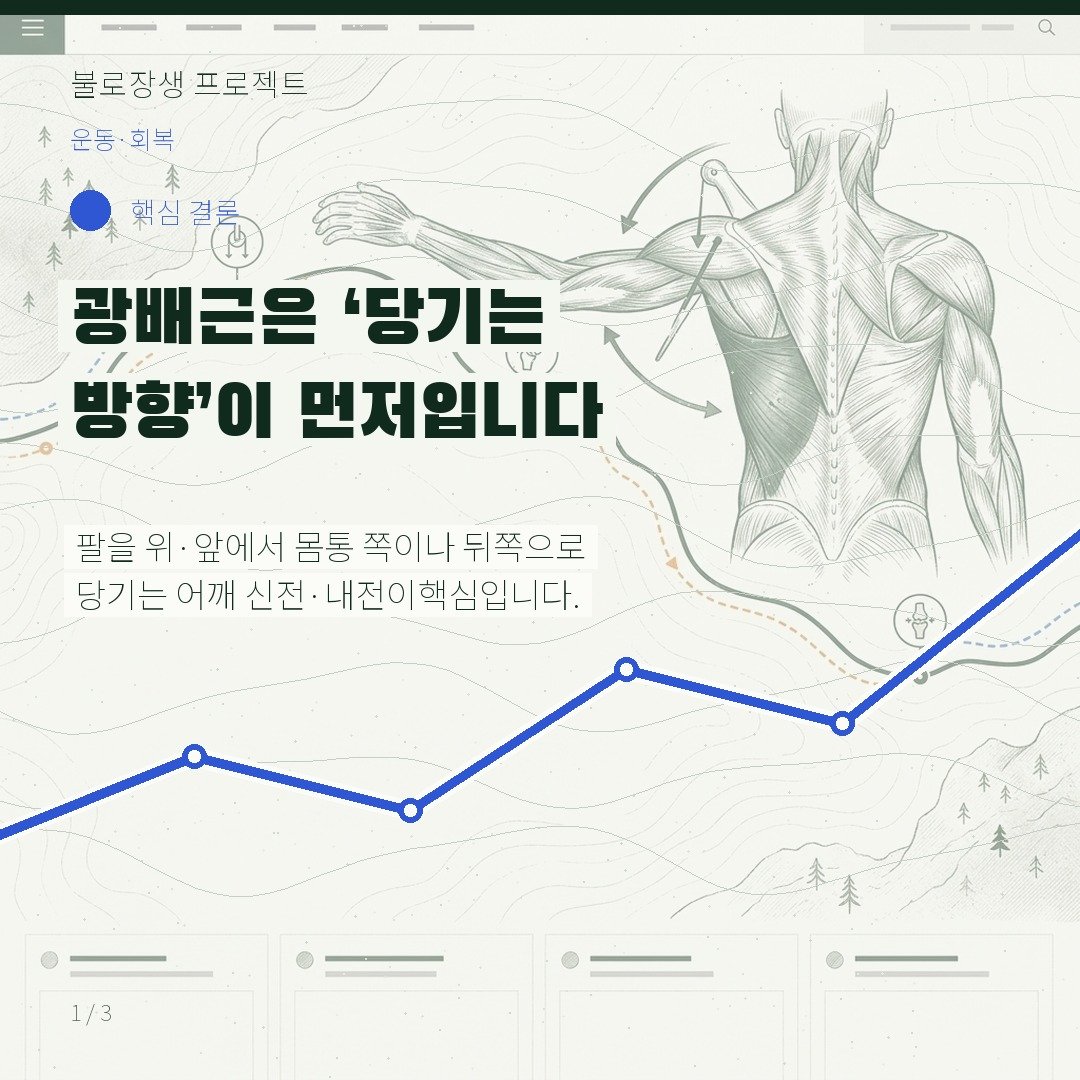광배근은 ‘당기는 방향’이 먼저입니다