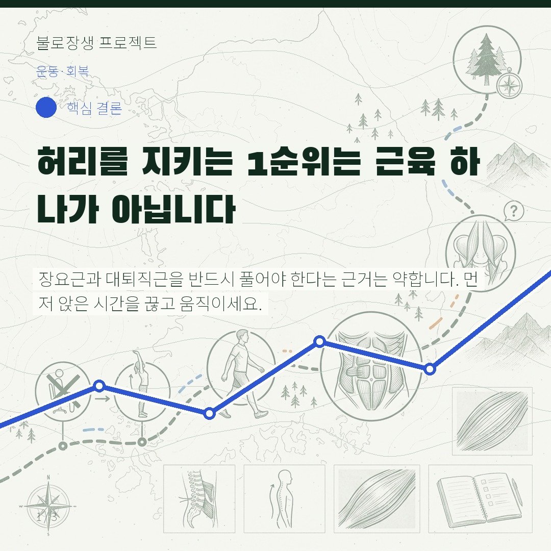 허리를 지키는 1순위는 근육 하나가 아닙니다