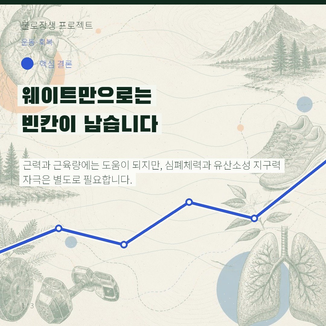 웨이트만으로는 빈칸이 남습니다