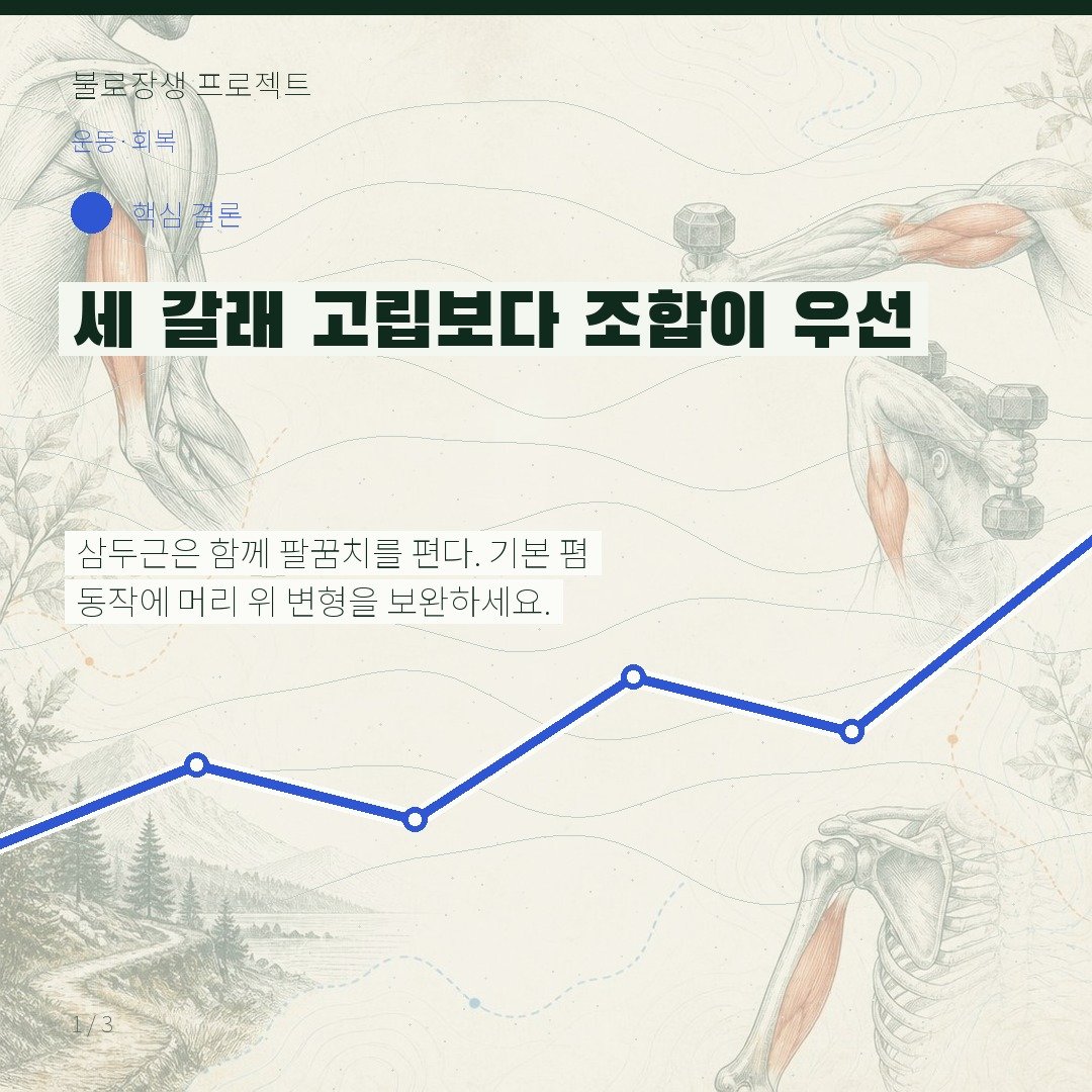 세 갈래 고립보다 조합이 우선