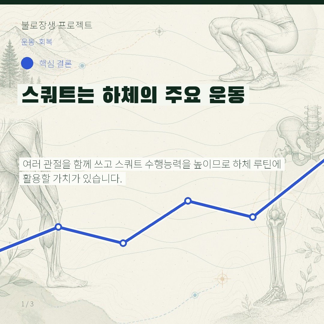 스쿼트는 하체의 주요 운동