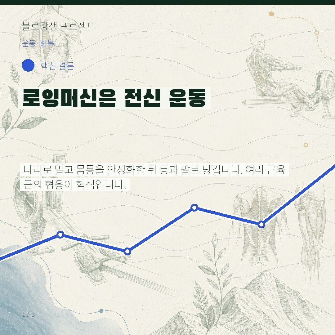 로잉머신은 전신 운동