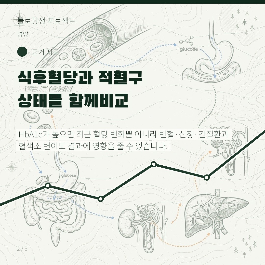 식후혈당과 적혈구 상태를 함께 비교