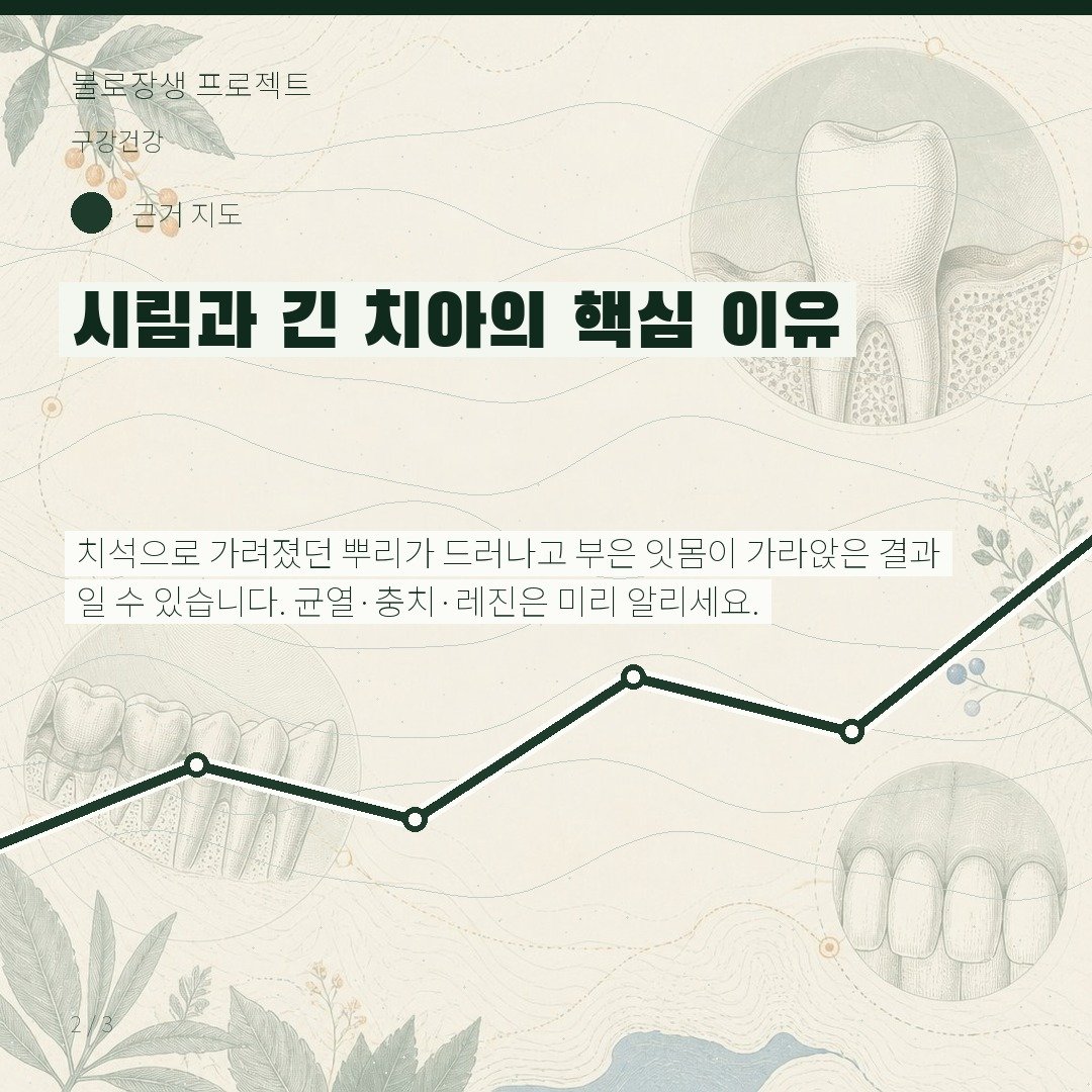 시림과 긴 치아의 핵심 이유
