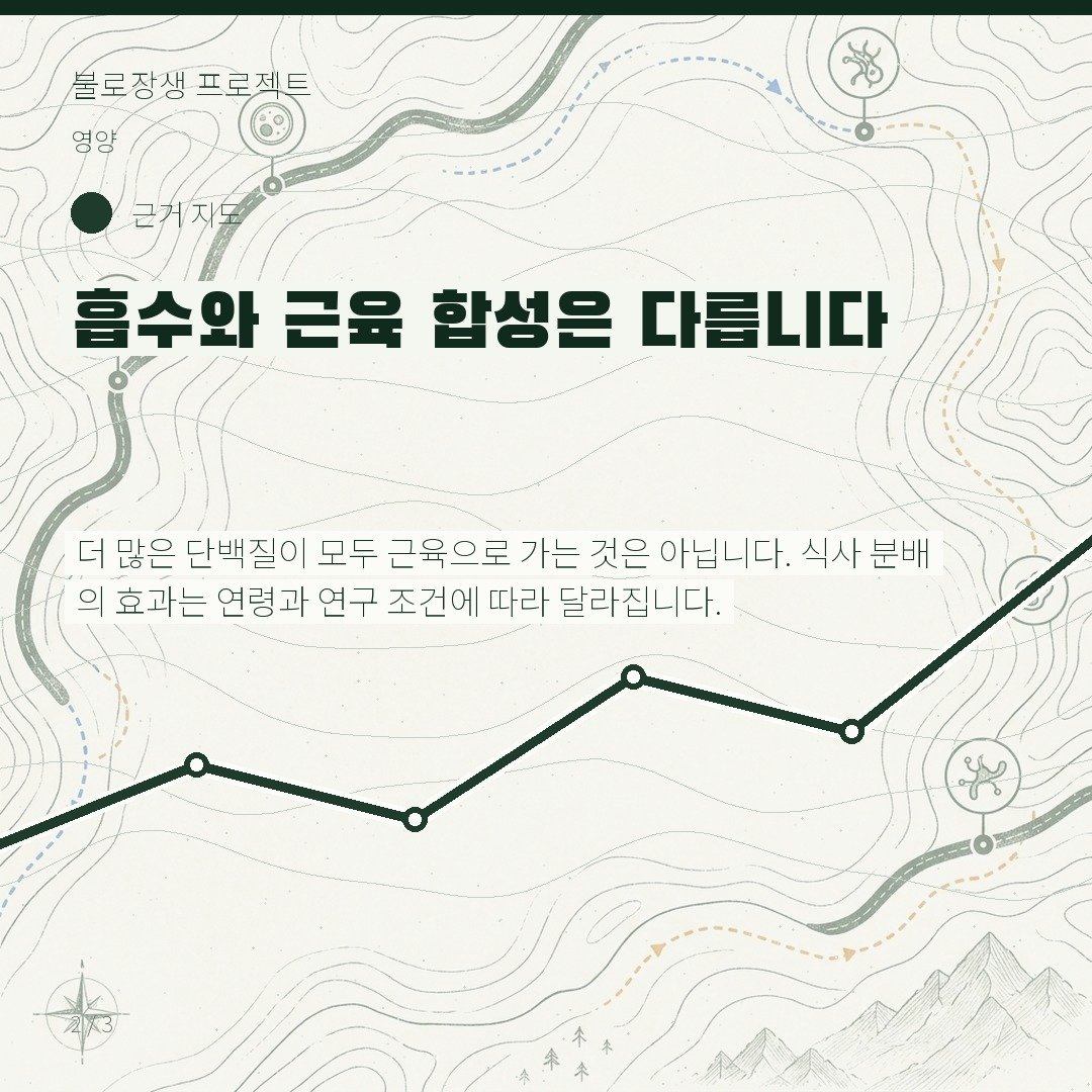 흡수와 근육 합성은 다릅니다