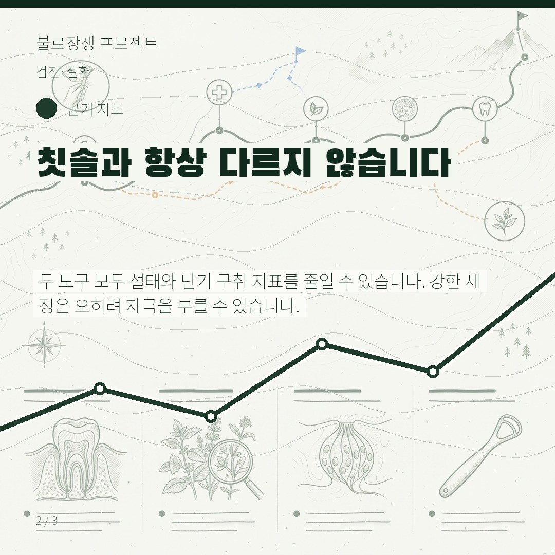 칫솔과 항상 다르지 않습니다