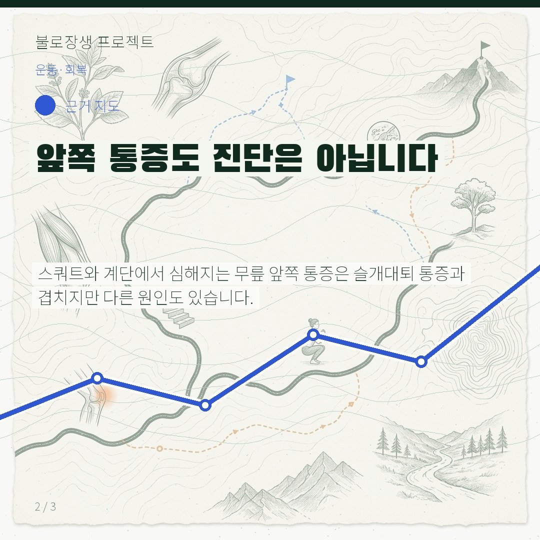 앞쪽 통증도 진단은 아닙니다