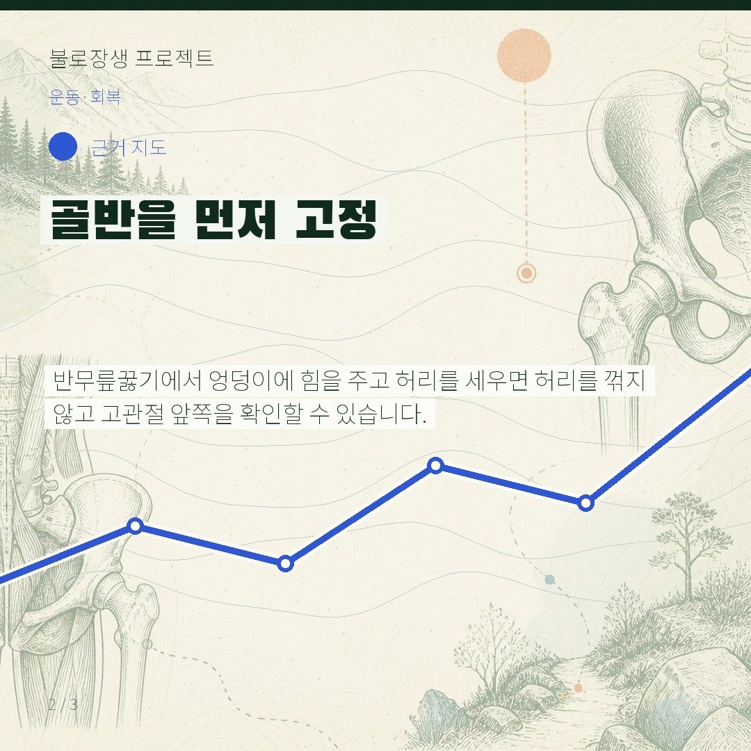 골반을 먼저 고정