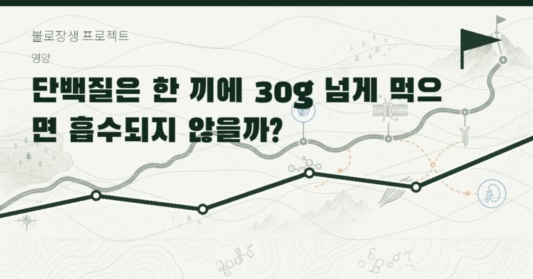 단백질은 한 끼에 30g 넘게 먹으면 흡수되지 않을까?