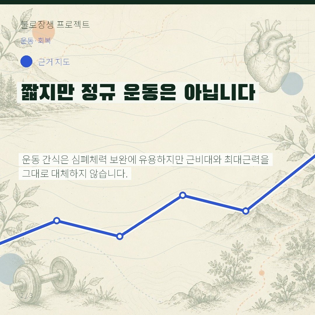짧지만 정규 운동은 아닙니다